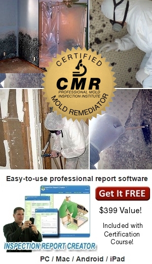 mold remediator course